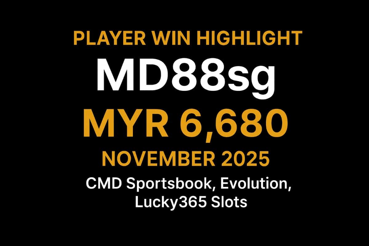 VWORLD VIP Player MD88sg